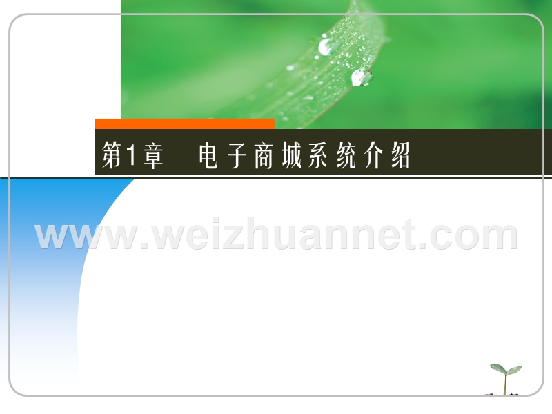 单元2电子商城系统介绍.ppt_第1页