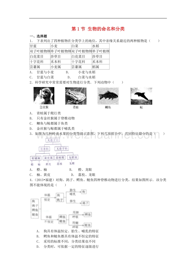 七年级生物下册第14章 第1节 生物的命名和分类（第2课时）课时练习 苏科版.doc_第1页