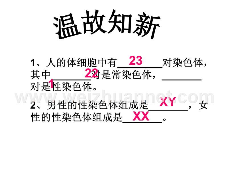 河北承德市平泉县第四中学八年级生物下册《第七单元 第二章 第四节 人的性别遗传》课件 新人教版.ppt_第2页