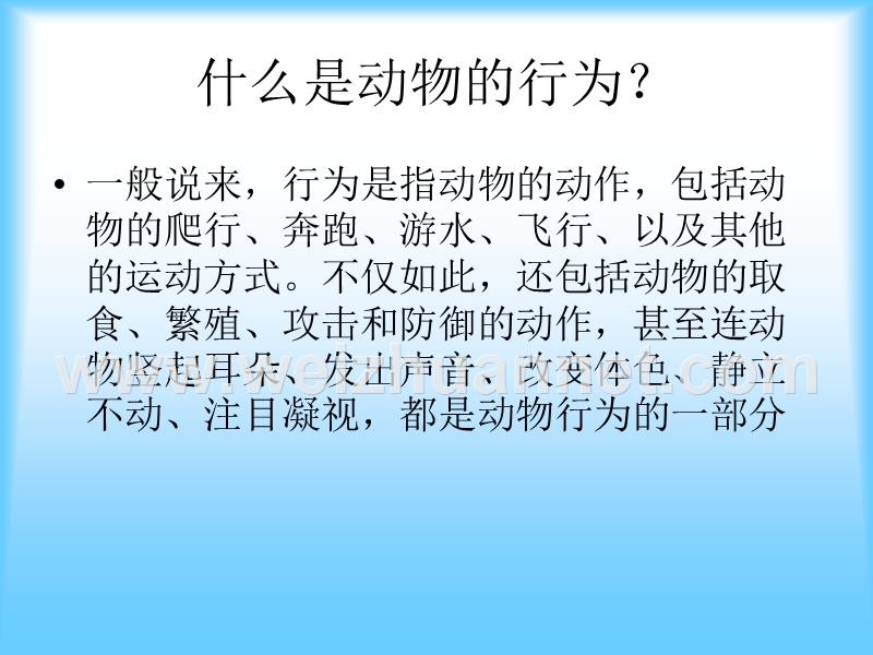 华师大科学动物的行为.ppt_第2页