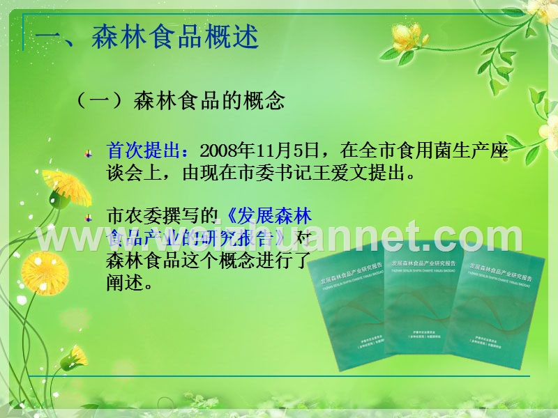 加快产业化建设-促进森林食品产业发展ppt.ppt_第3页