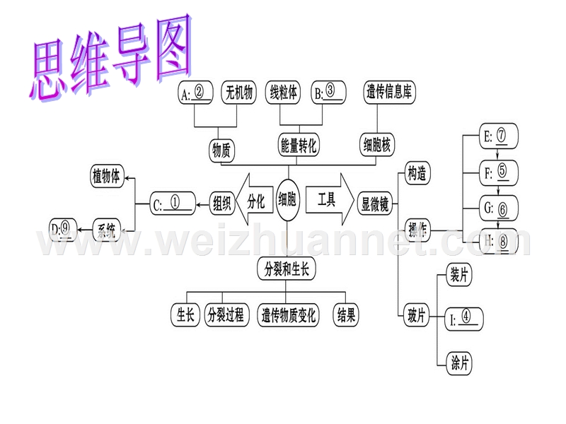 2016生物中考专题复习二  生物和细胞课件（15张ppt）.ppt_第2页