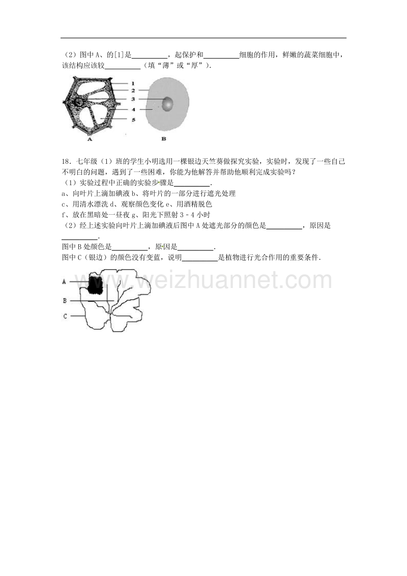 广东省揭阳市普宁市大长陇中学2015-2016学年七年级生物上学期第一次段考试卷 北师大版.doc_第3页