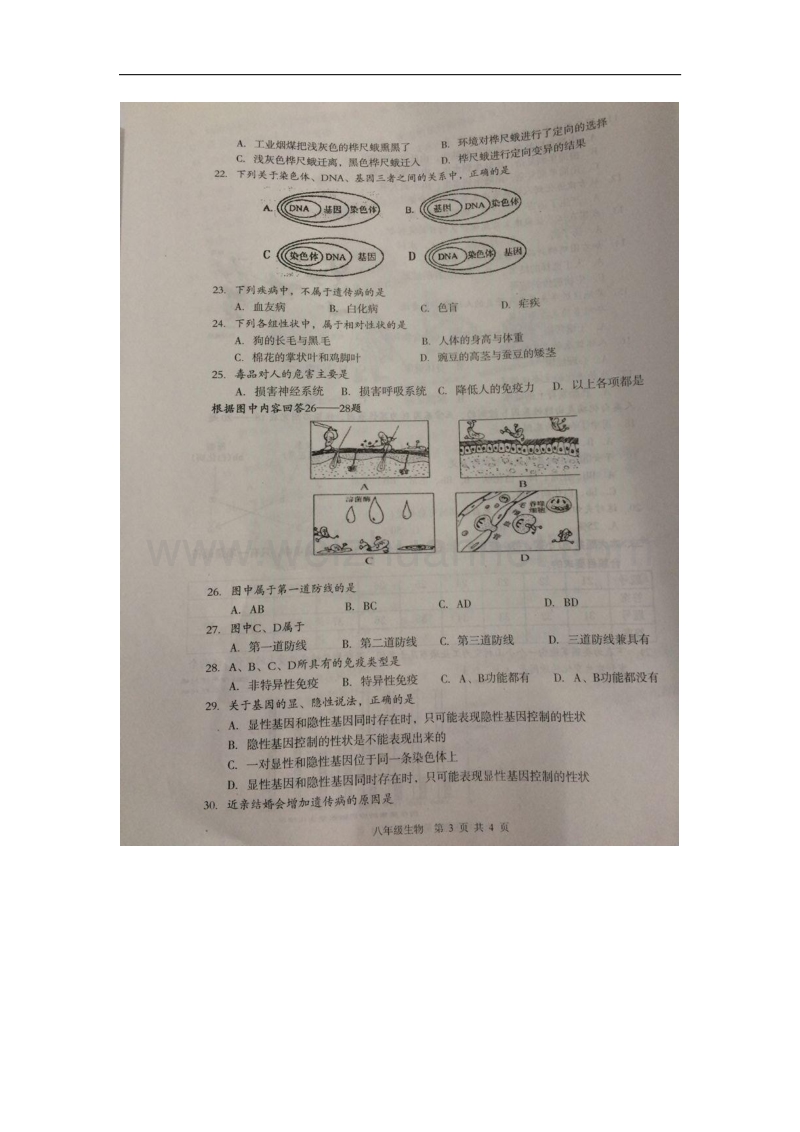 江苏省淮安市淮阴区2015-2016学年八年级生物下学期期中试题 苏教版.doc_第3页