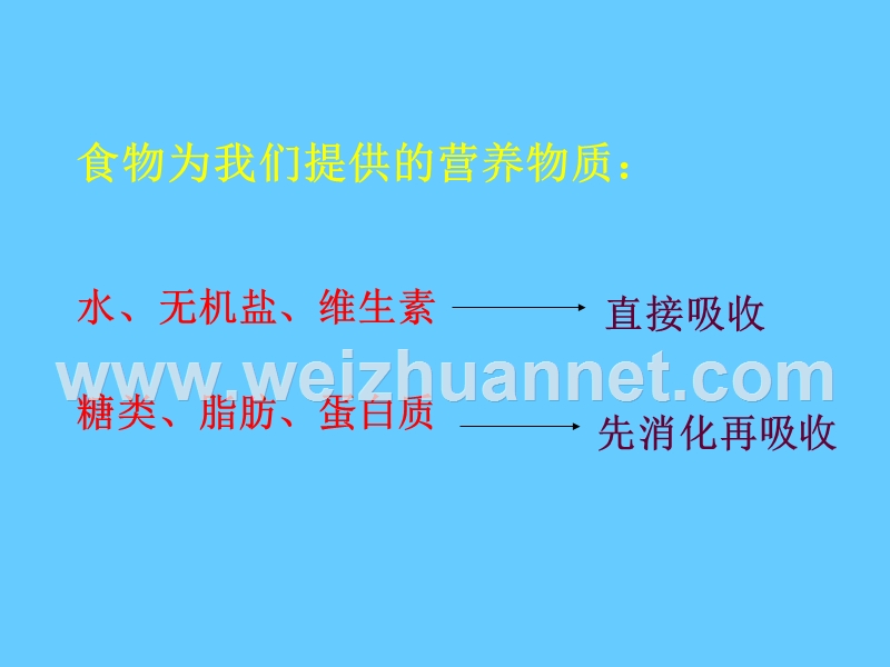 新人教版七年级生物下册4.2.2 消化和吸收课件.ppt_第2页