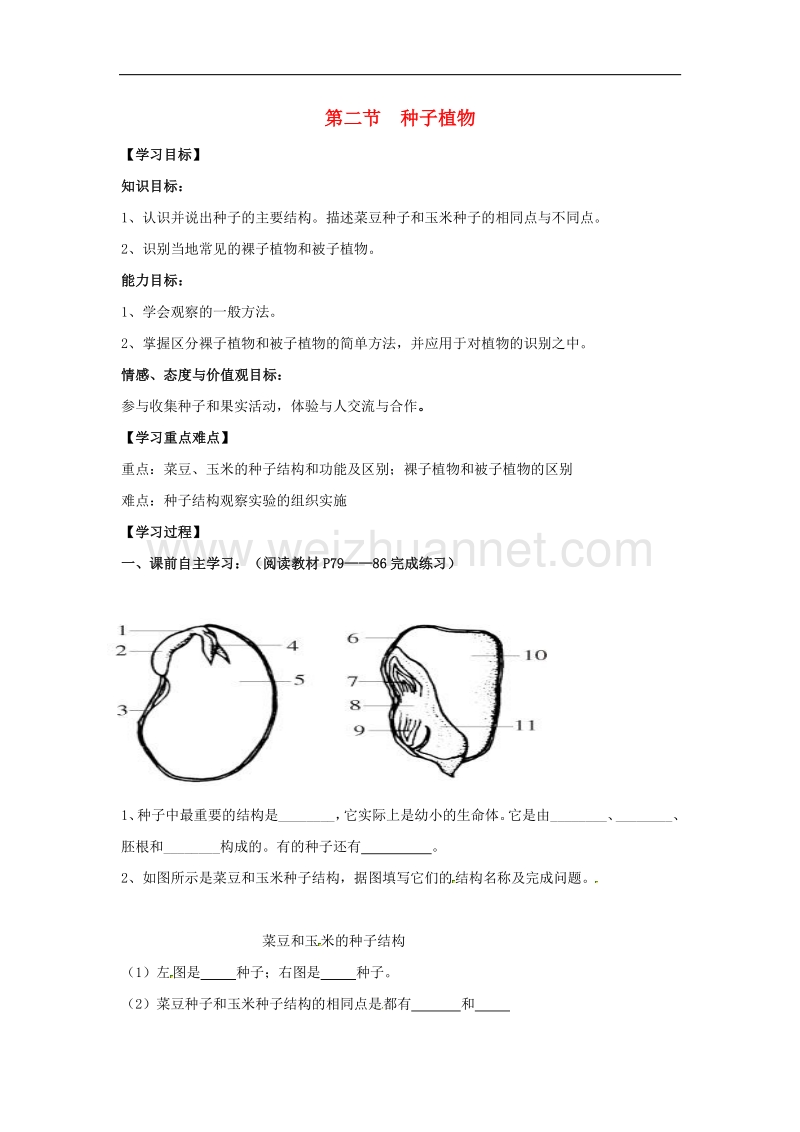 山东省泰安市岱岳区2015-2016学年七年级生物上册3.1.2 种子植物学案 新人教版.doc_第1页