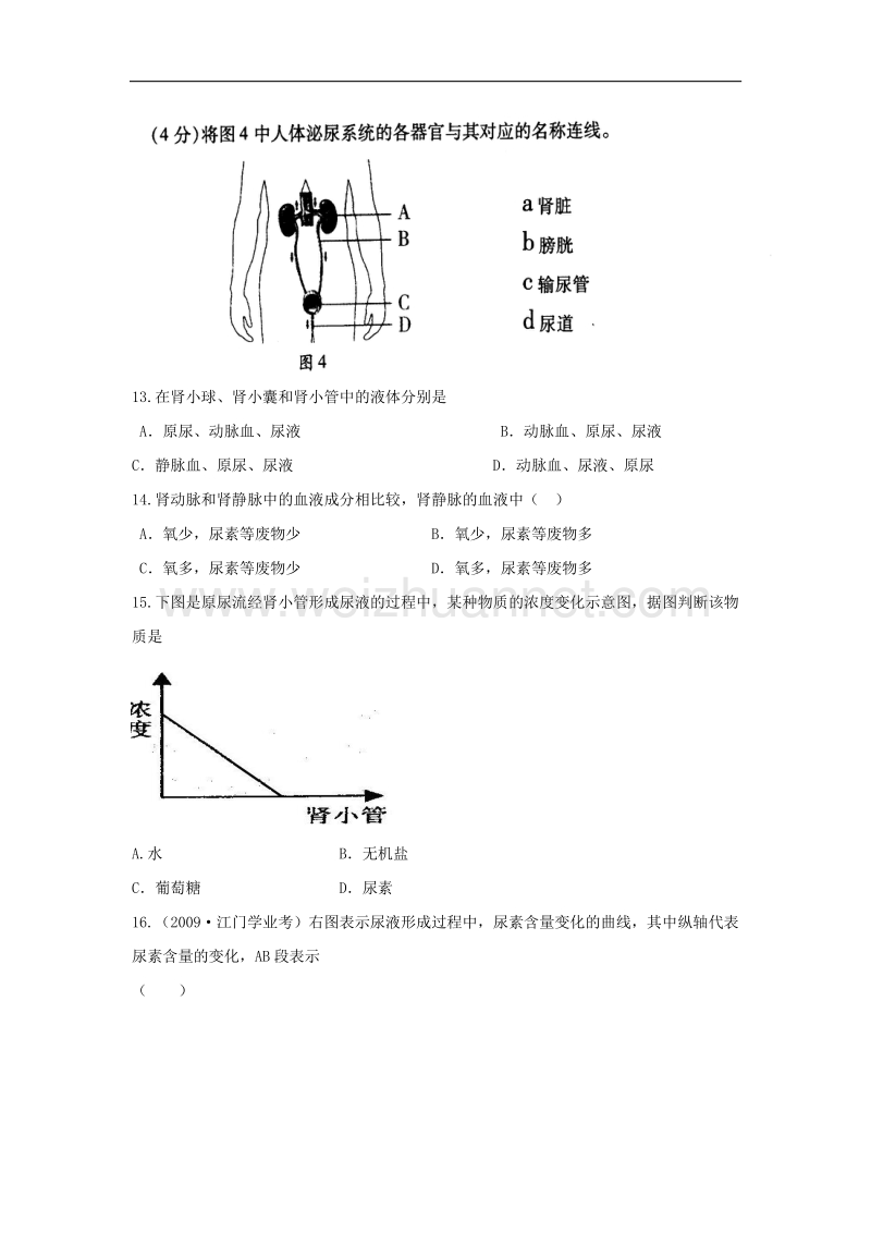 北京版七年级生物下册第七章：7.2尿液的形成与排出课件评测练习(@卢春艳).doc_第2页