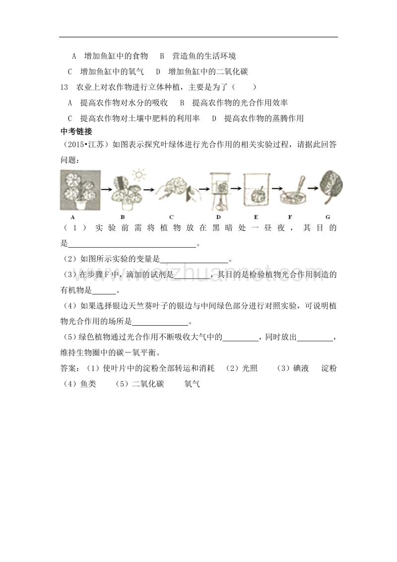 广东省潮州市高级实验学校2015－2016学年度七年级上生物中考复习（五）.doc_第3页