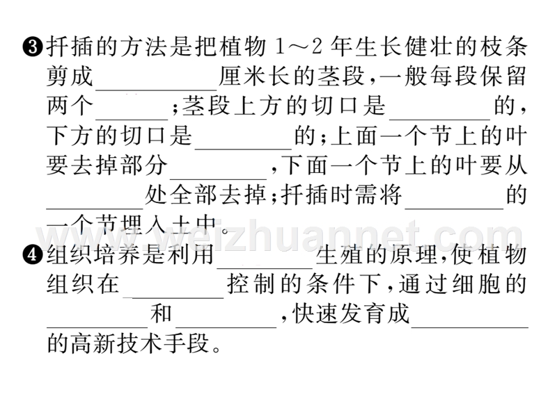 2016年春八年级生物下册课件：第七单元 第一章 生物的生殖和发育第一节第2课时.ppt_第3页