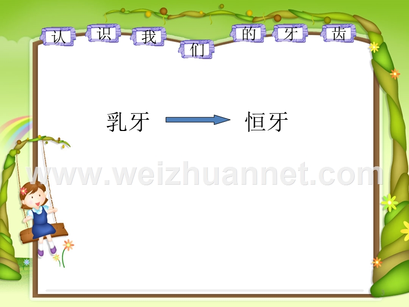 爱牙就是爱健康 赵黎莉.ppt_第3页