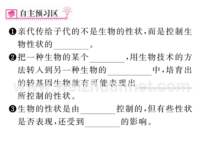 2016年春八年级生物下册课件：第七单元 第二章  生物的遗传与变遗第一节  基因控制生物的性状第2课时.ppt_第2页