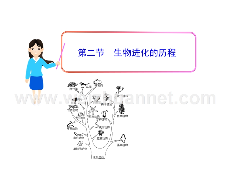 安徽省蚌埠市固镇县第三中学生物（人教版）八年级下册课件：第七单元 第三章 第二节 生物进化的历程（共28张ppt）.ppt_第1页