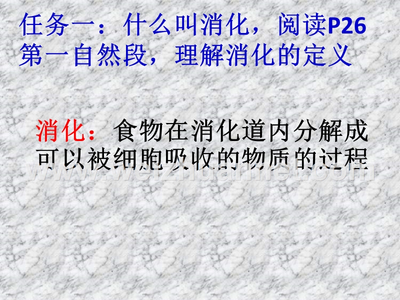 优质资源评选 七年级生物下册 精品课件 第二章 第二节 消化和吸收 青云湖中（共20张ppt）.ppt_第3页