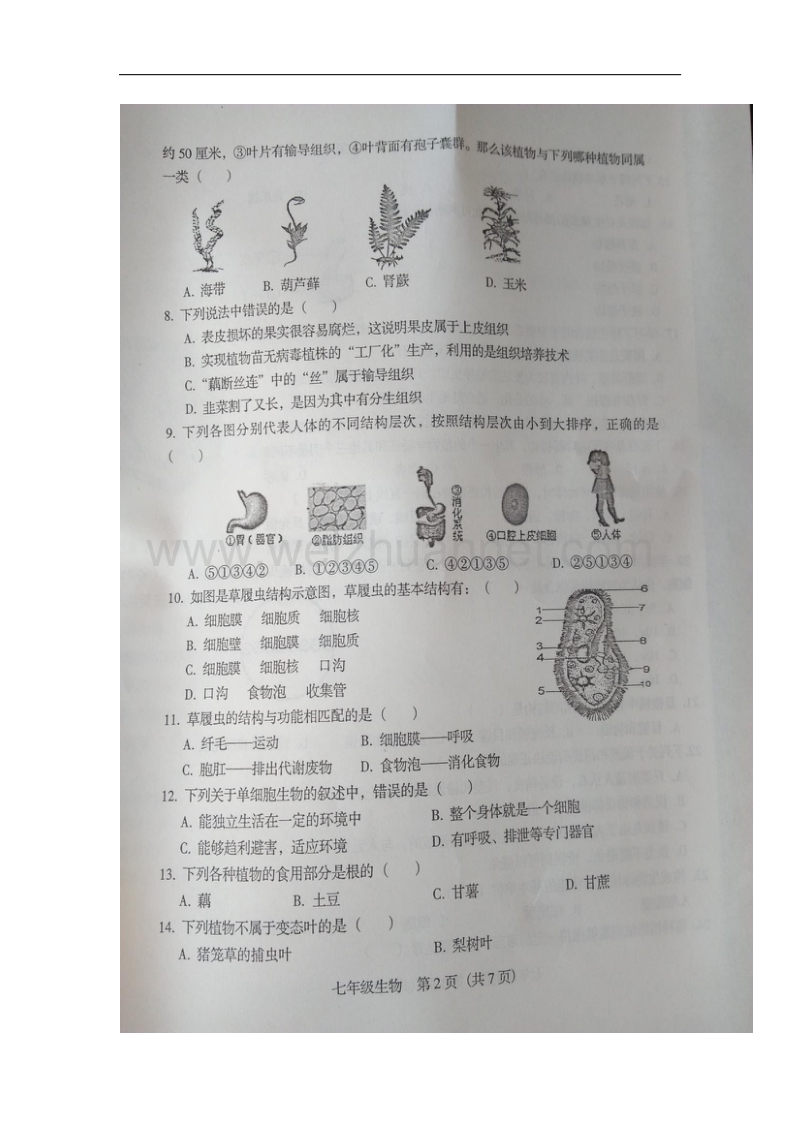 河北省高碑店市2017_2018学年七年级生物上学期期中调研试题（扫 描 版，无答案）新人教版.doc_第2页