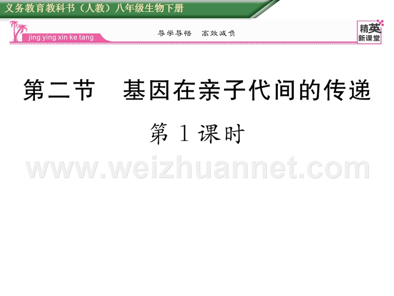 2016年春八年级生物下册课件：第七单元 第二章  生物的遗传与变遗第二节第1课时.ppt_第1页