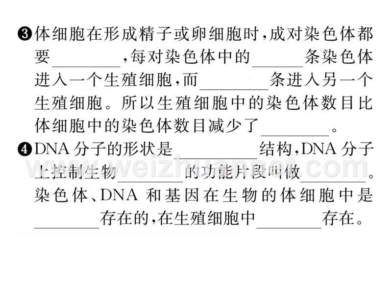 2016年春八年级生物下册课件：第七单元 第二章  生物的遗传与变遗第二节第1课时.ppt_第3页