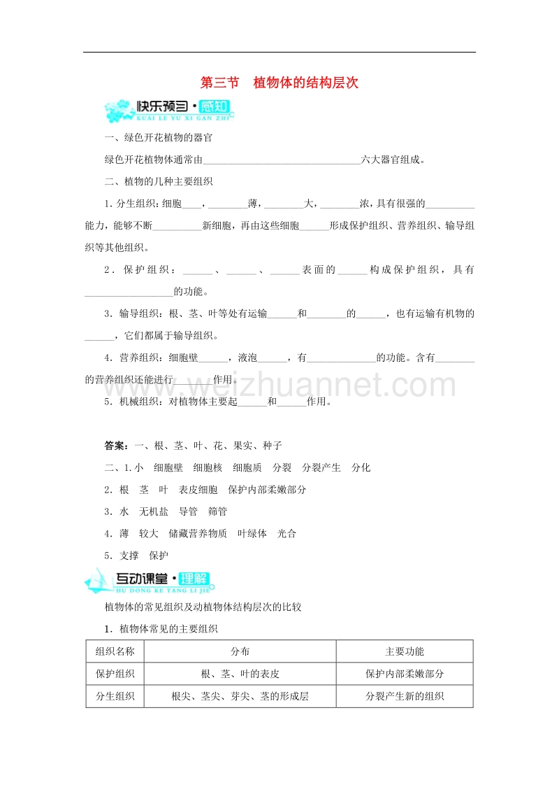 2015秋七年级生物上册2.2.3 植物体的结构层次导学案 新人教版.doc_第1页