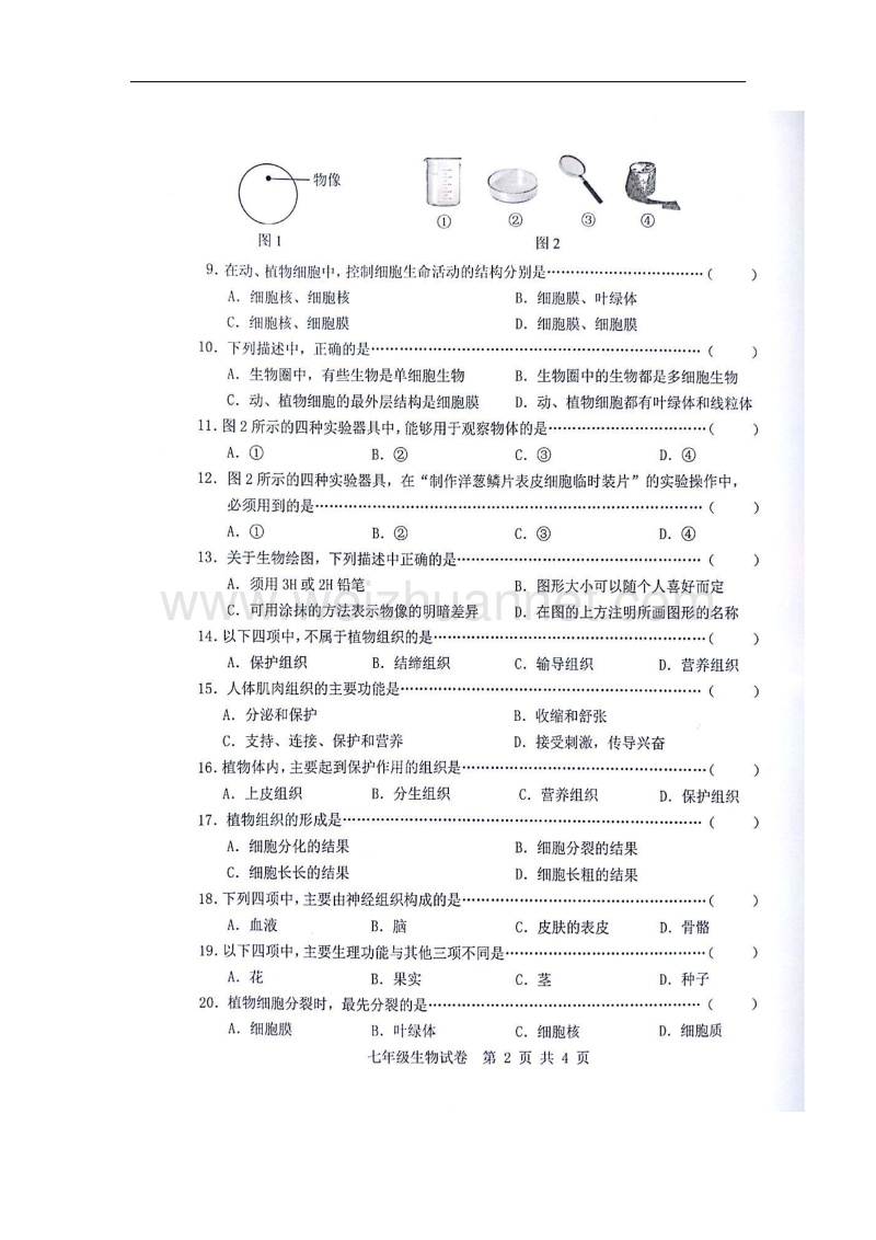 广西贵港市港南区2017_2018学年七年级生物上学期期中试题（扫 描 版）新人教版.doc_第2页