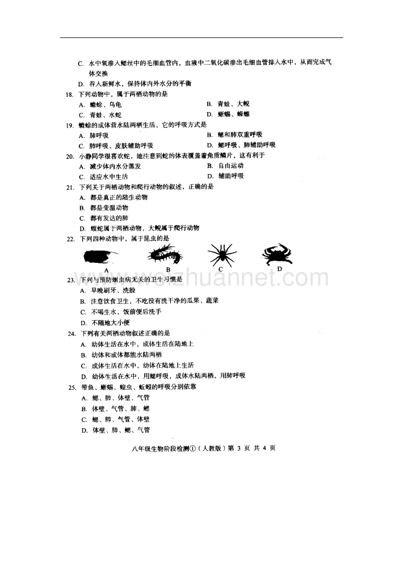 河北省2017_2018学年八年级生物上学期阶段检测试题①（扫 描 版）新人教版.doc_第3页