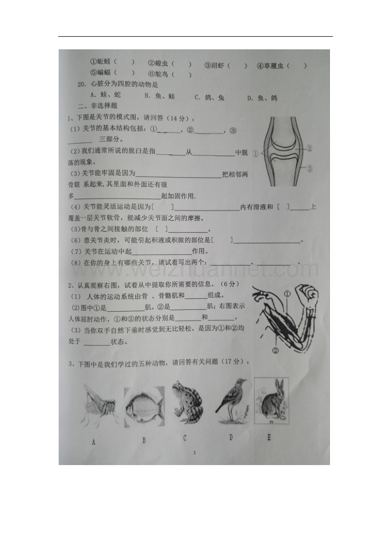 河北省唐山市丰南区2017_2018学年八年级生物上学期第一次月考试题（扫 描 版，无答案）新人教版.doc_第3页