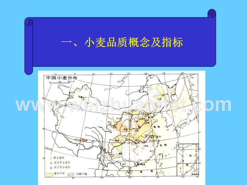 小麦籽粒品质形成.ppt_第2页