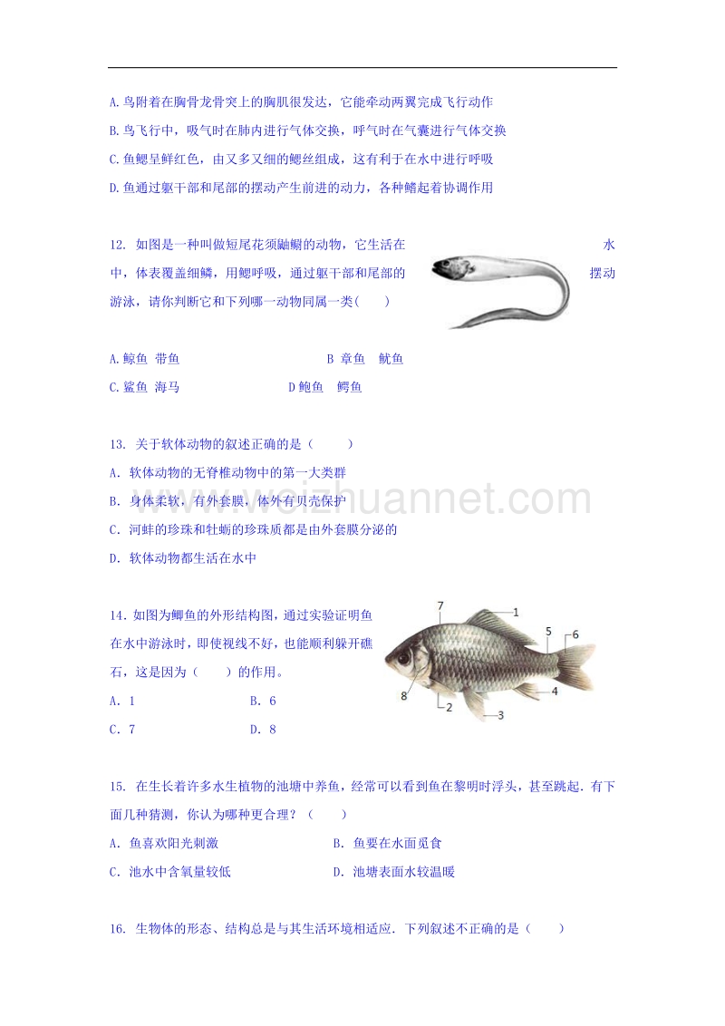 山东省龙口市第五中学（五四学制）2015-2016学年八年级上学期期中考试生物试题.doc_第3页