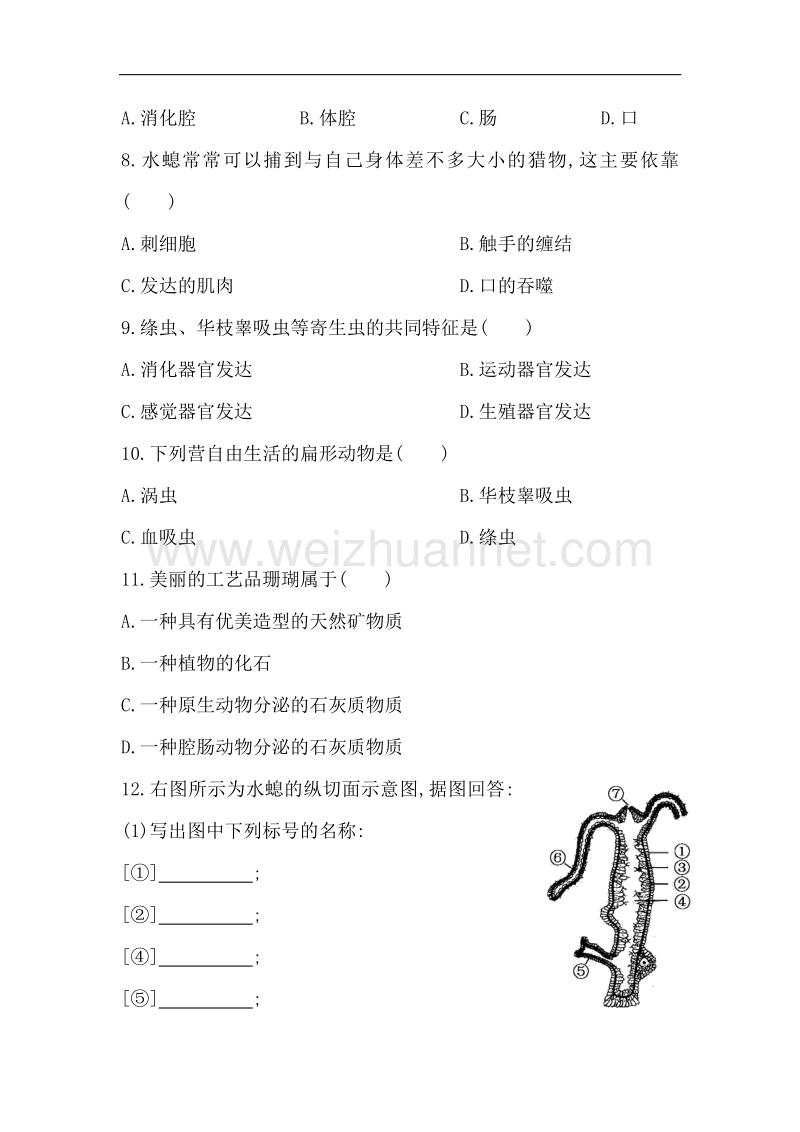 冀教版2015-2016学年七年级生物上册同步练习：1.4.2《腔肠动物和扁形动物》（1带答案）.doc_第2页