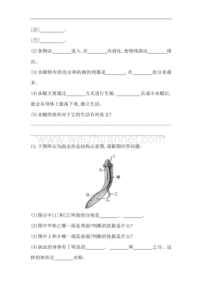 冀教版2015-2016学年七年级生物上册同步练习：1.4.2《腔肠动物和扁形动物》（1带答案）.doc_第3页