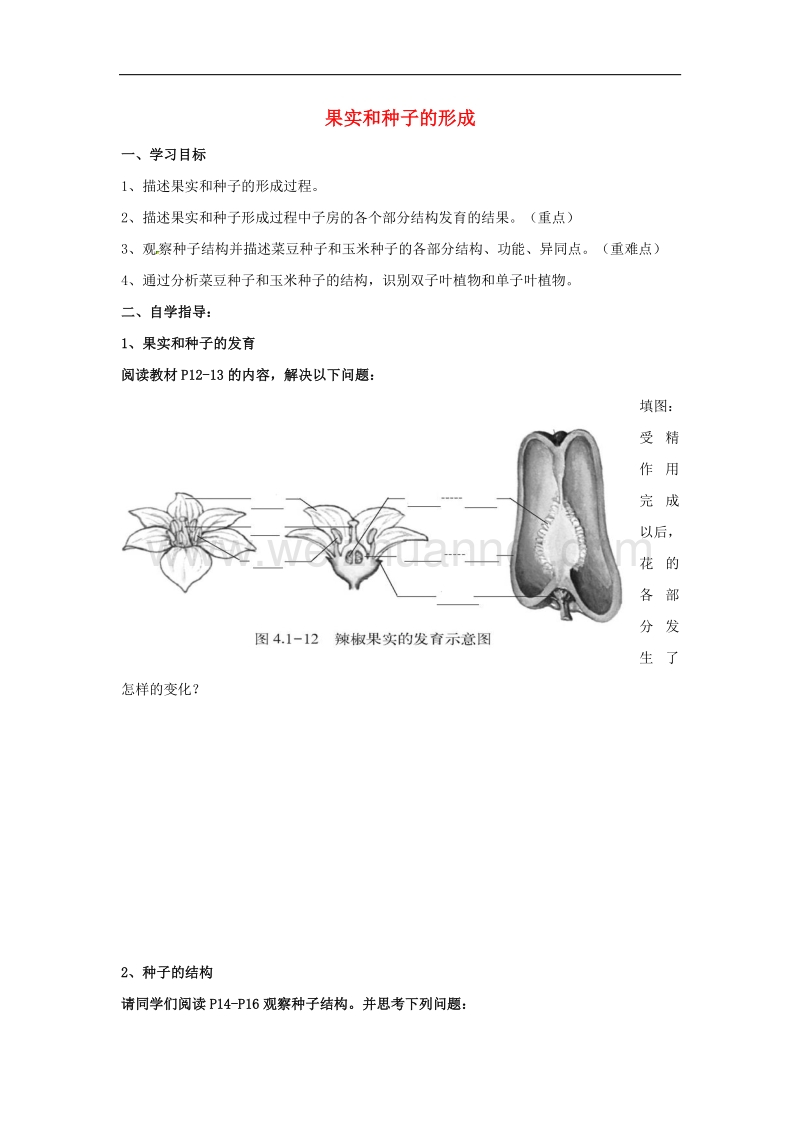 山东省单县希望初级中学八年级生物上册4.1.3 果实和种子的形成导学案（新版）济南版.doc_第1页