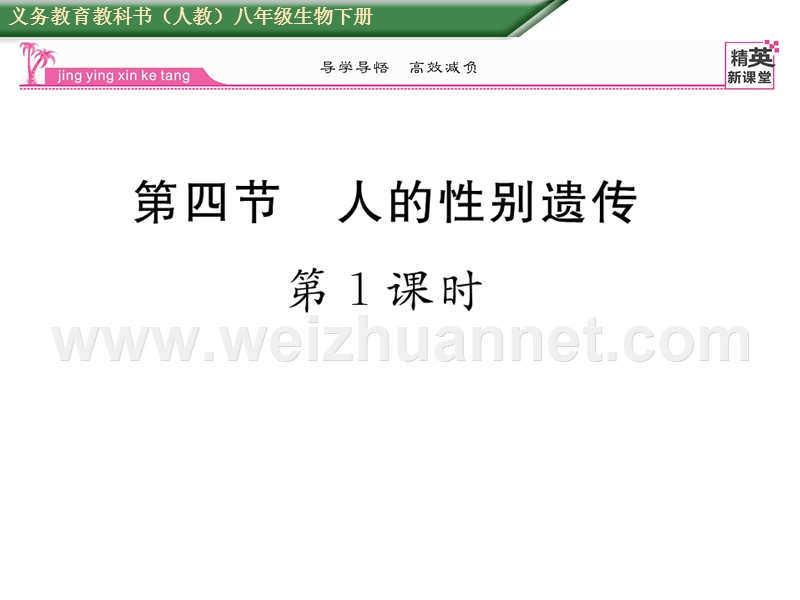 2016年春八年级生物下册课件：第七单元 第二章  生物的遗传与变遗第四节第1课时.ppt_第1页