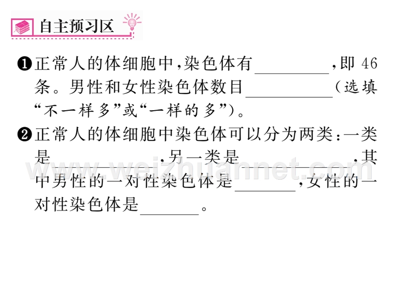 2016年春八年级生物下册课件：第七单元 第二章  生物的遗传与变遗第四节第1课时.ppt_第2页