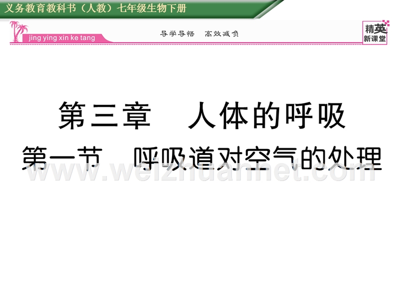 2016年春七年级生物下册课件：第三章 第一节    呼吸道对空气的处理.ppt_第1页