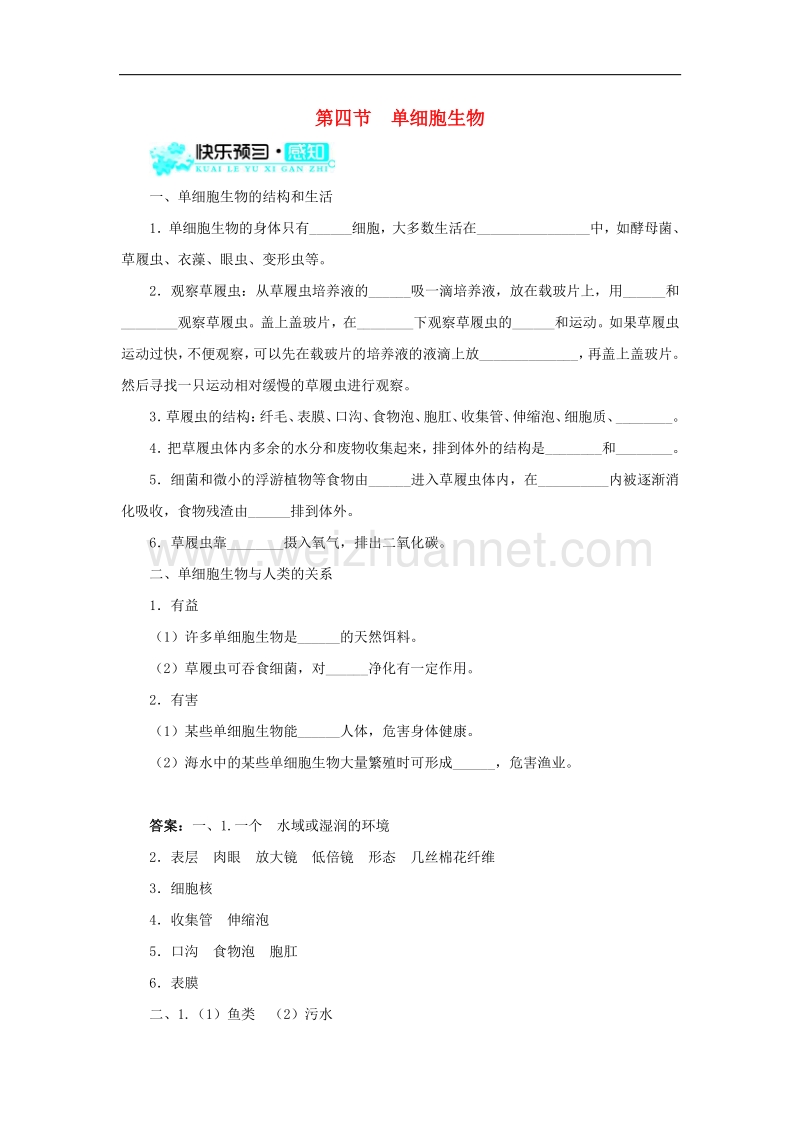 2015秋七年级生物上册2.2.4 单细胞生物导学案 新人教版.doc_第1页