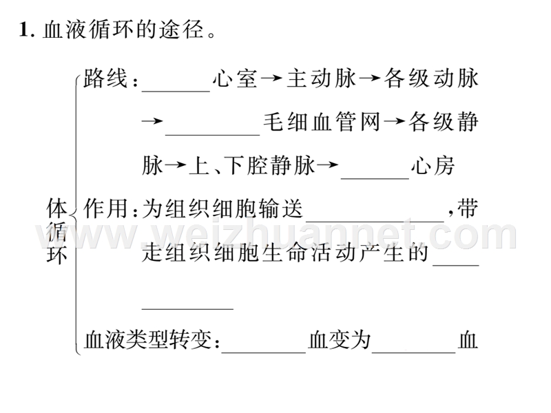 2016年春七年级生物下册课件：第四章 第三节    第2课时   血液循环的途径.ppt_第3页