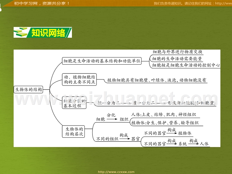 2016届中考面对面生物复习课件：专题二《生物体的结构层次》（苏教版）.ppt_第2页