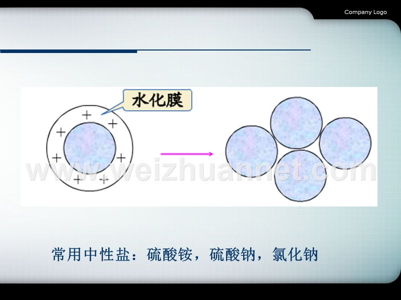 蛋白纯化技术简介ppt.ppt_第3页