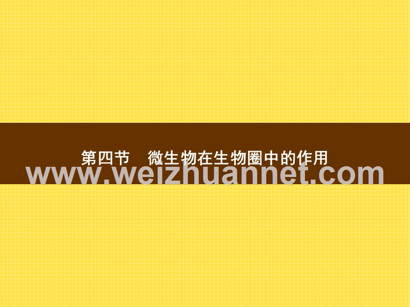 2015-2016学年七年级生物上册课件：2.3.4 微生物在生物圈中的作用 （新）济南版.ppt_第1页