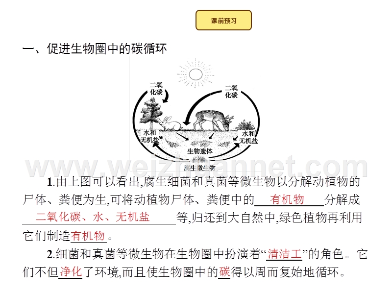 2015-2016学年七年级生物上册课件：2.3.4 微生物在生物圈中的作用 （新）济南版.ppt_第2页