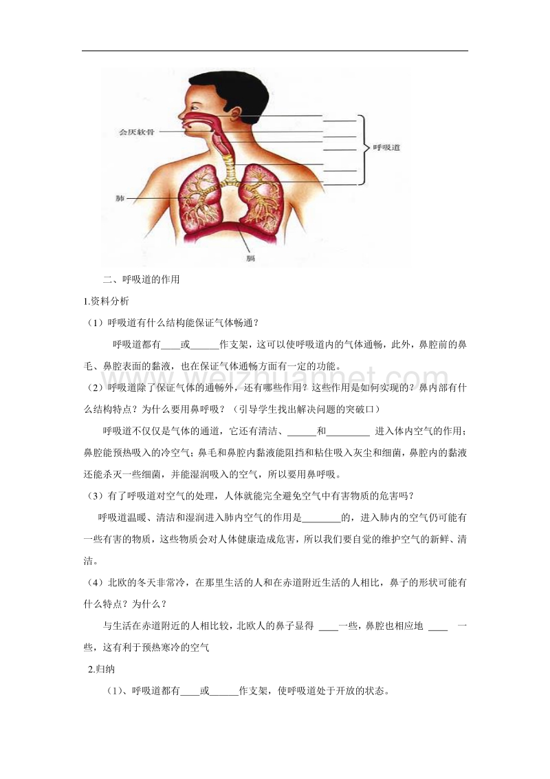 2016名师测控人教版七年级生物下册：第三章人体的呼吸 第一节 呼吸道对空气的处理.docx_第2页