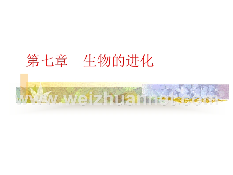 高中生物必修2-生物进化课件.ppt.ppt_第1页