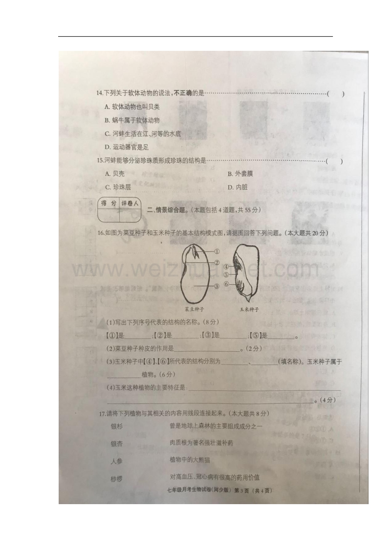 河北省邢台市临西县2017_2018学年七年级生物上学期第二次月考试题（扫 描 版，无答案）冀教版.doc_第3页