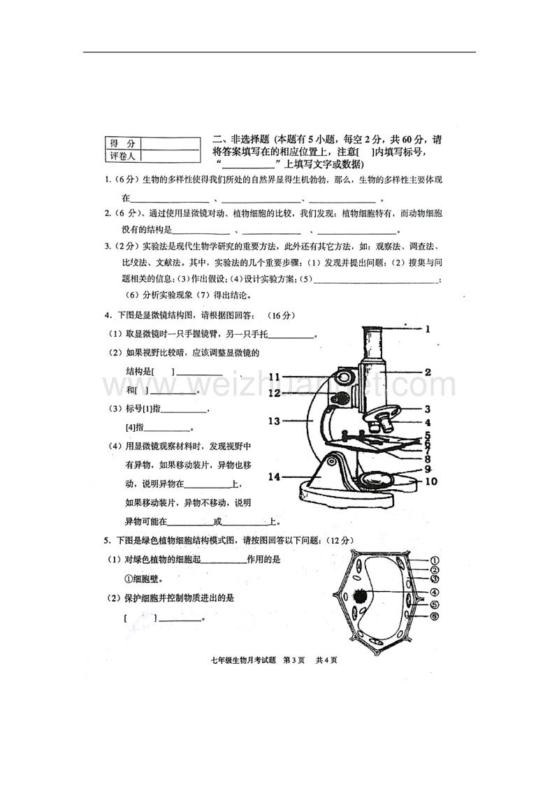 广西平南县2015-2016学年七年级生物10月月考试题（扫 描 版） 新人教版.doc_第3页