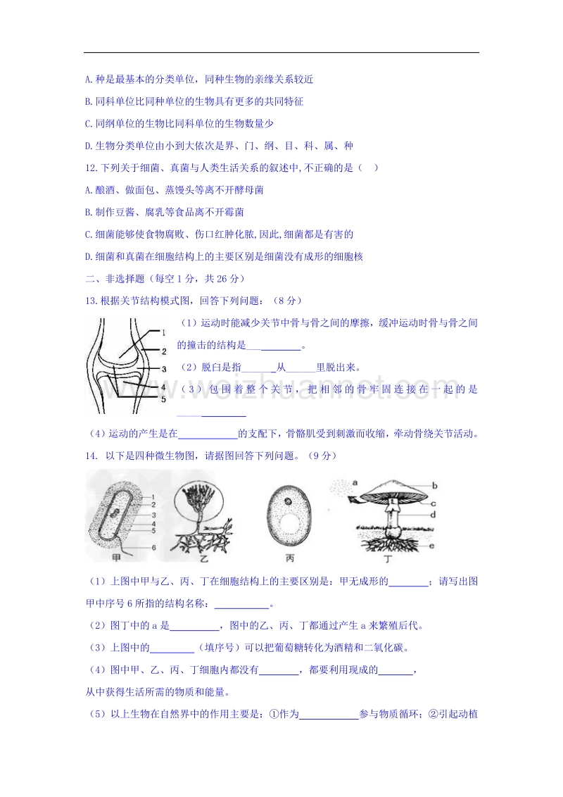 内蒙古乌海市第二十二中学2015-2016学年八年级上学期期中考试生物试题.doc_第3页