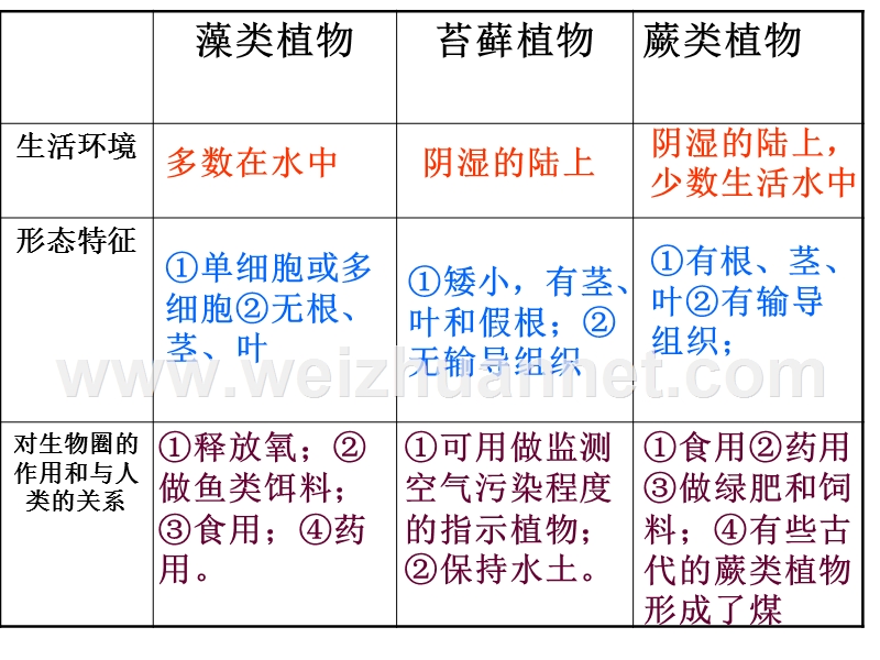 人教版七年级上册生物第三单元第二章被子植物的一生复习课件（共55张ppt）.ppt_第3页