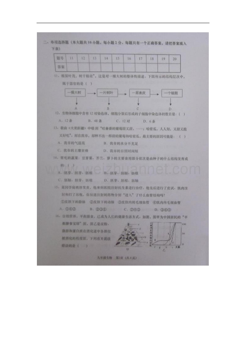 广东省潮州市2016届九年级上学期期末教学质量检查生物试题（图片版）.doc_第3页