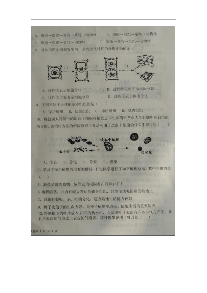 山东省德州市夏津实验中学2016届九年级生物上学期10月质量检测试题（扫 描 版，无答案）.doc_第2页