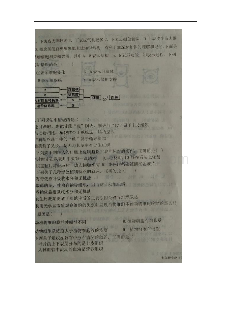 山东省德州市夏津实验中学2016届九年级生物上学期10月质量检测试题（扫 描 版，无答案）.doc_第3页