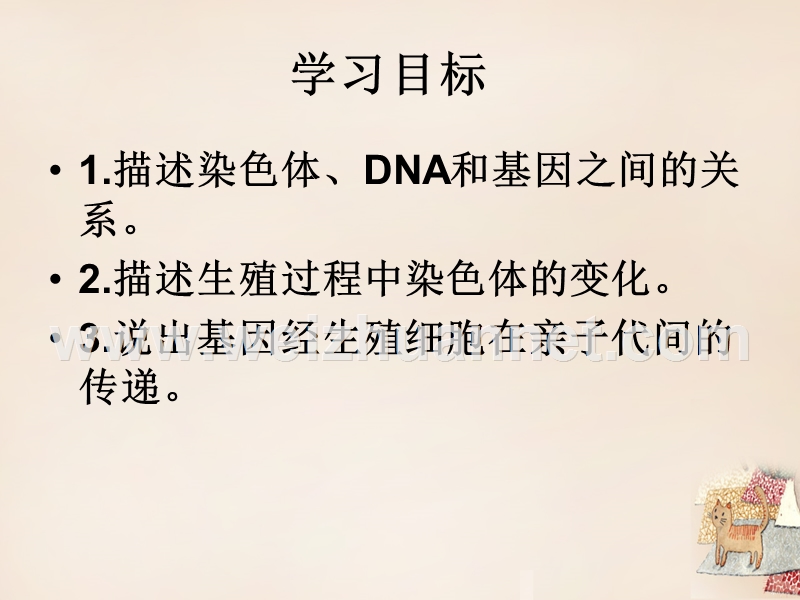 八年级生物下册7.2.1 基因在亲子代间的传递课件2 新人教版.ppt_第3页