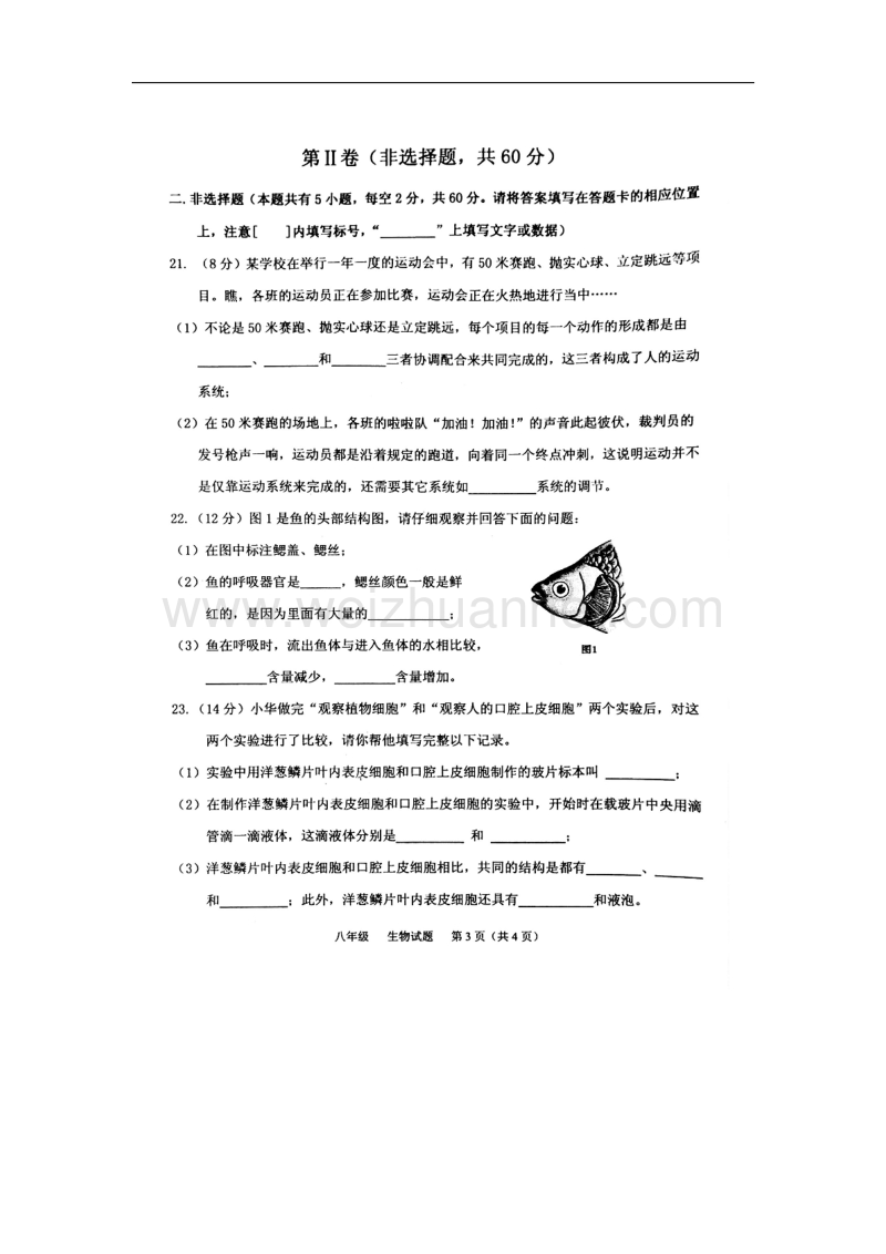 广西平南县2015-2016学年八年级上学期期末考试生物试题（扫 描 版）.doc_第3页