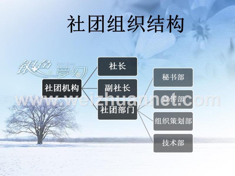 桥牌社团规划.ppt..ppt_第3页